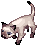 인챈트 고양이